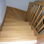 Apartment Staromlynska