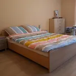 Staromlynska Apartment