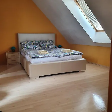 Apartment Staromlynska