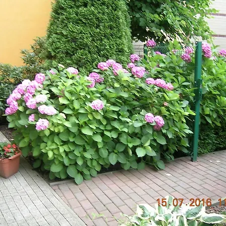 Apartment Staromlynska *
