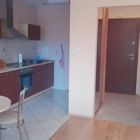 Staromlynska Apartment