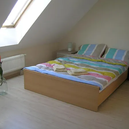 Staromlynska Apartment *